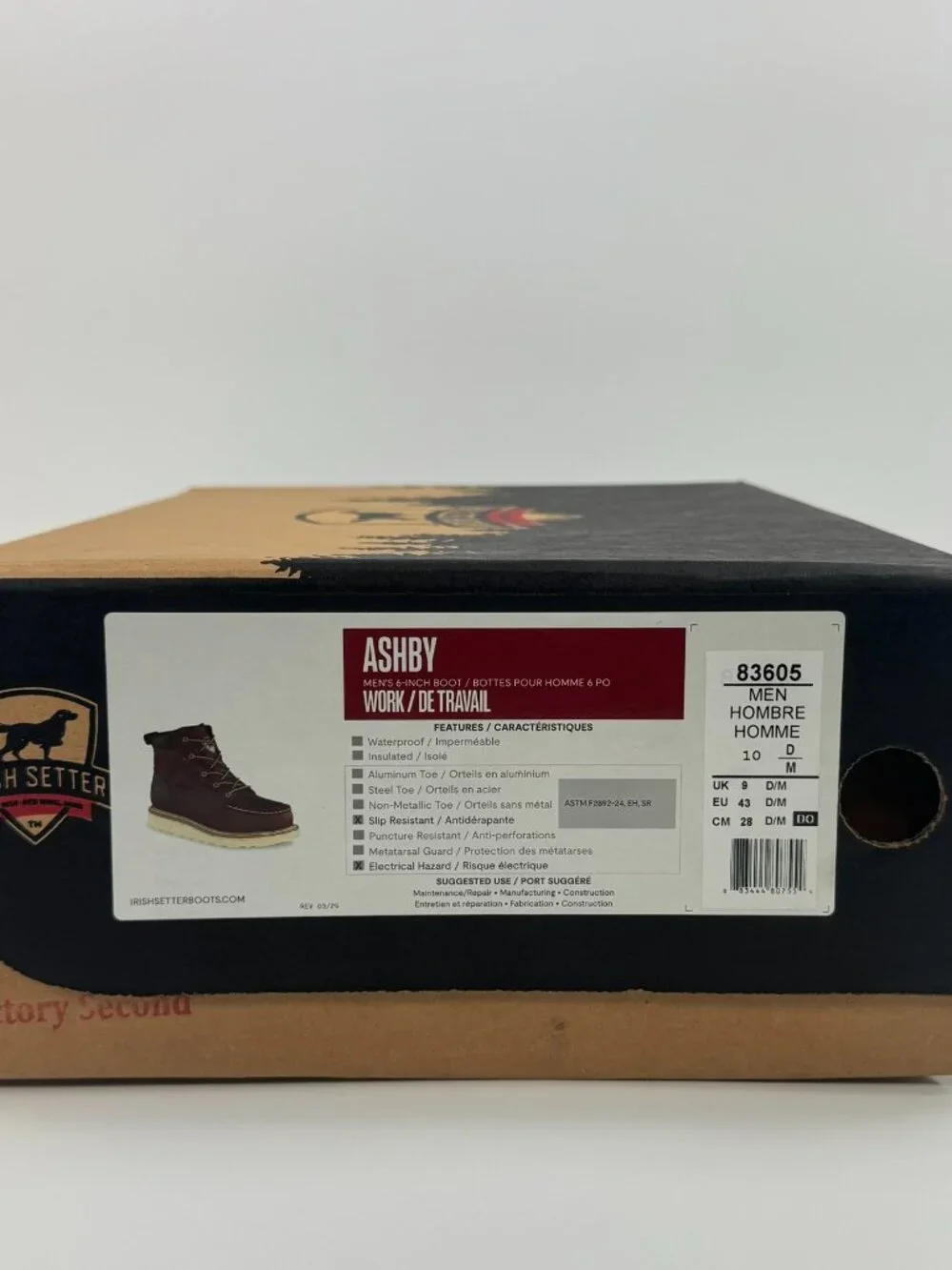 Irish Setter Ashby 6